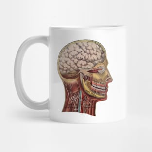 Vintage Human Head Anatomy Mug